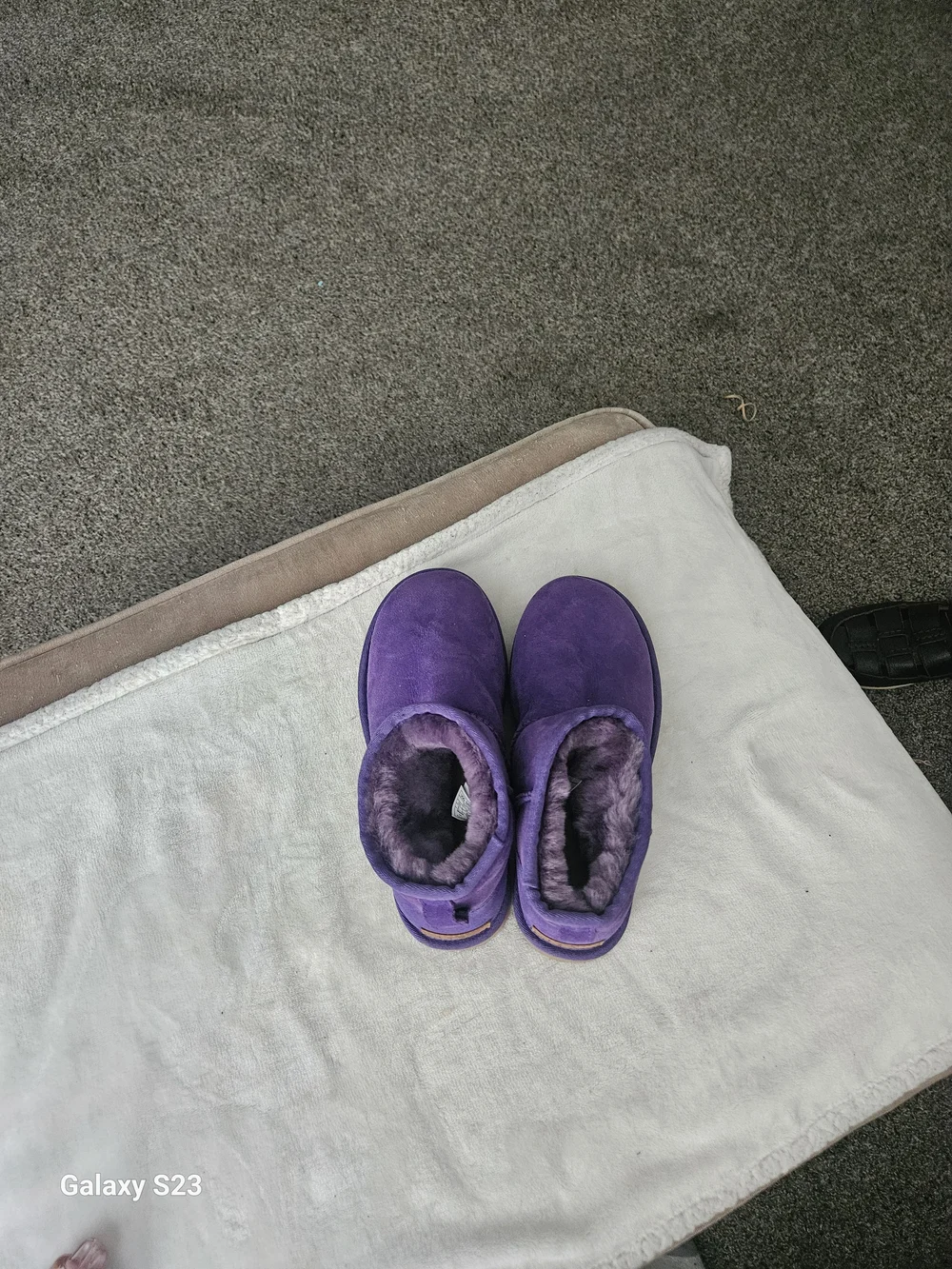 UGG Classic Mini II Purple Suede Sheepskin Boots Women's Size 6 EU 37